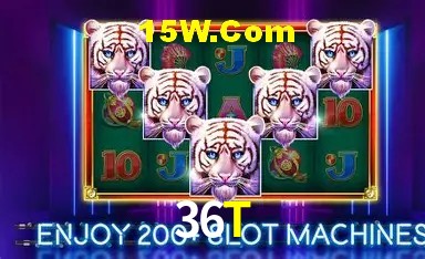 Live Casino 36T